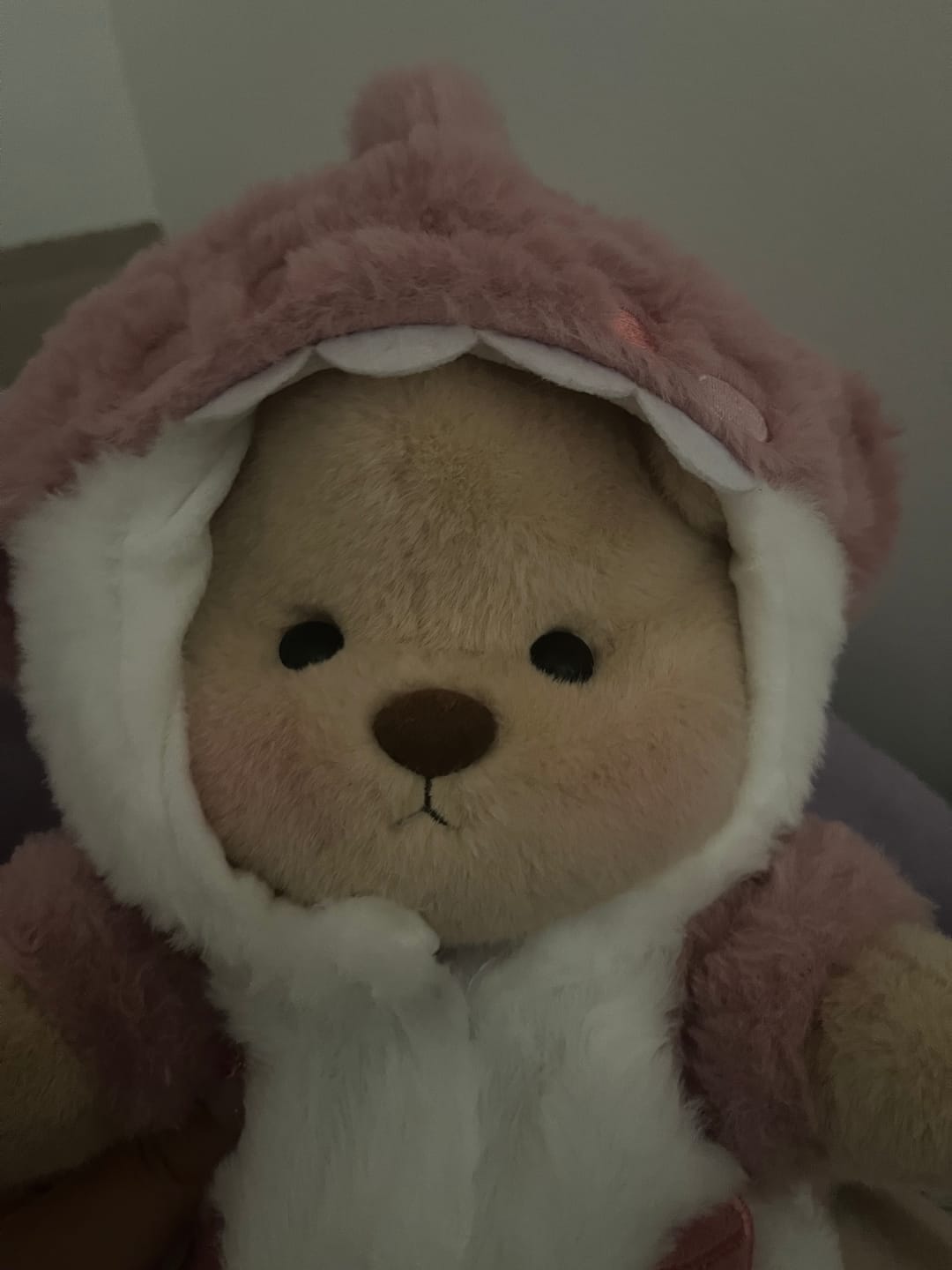 Customer photo review of Pink Shark