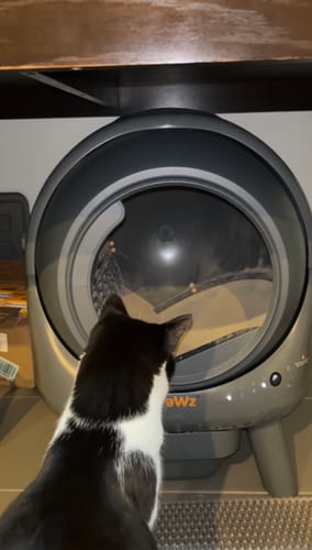 Customer photo review of PaWz AutoClean Lite Automatic Self Cleaning Cat Litter Box