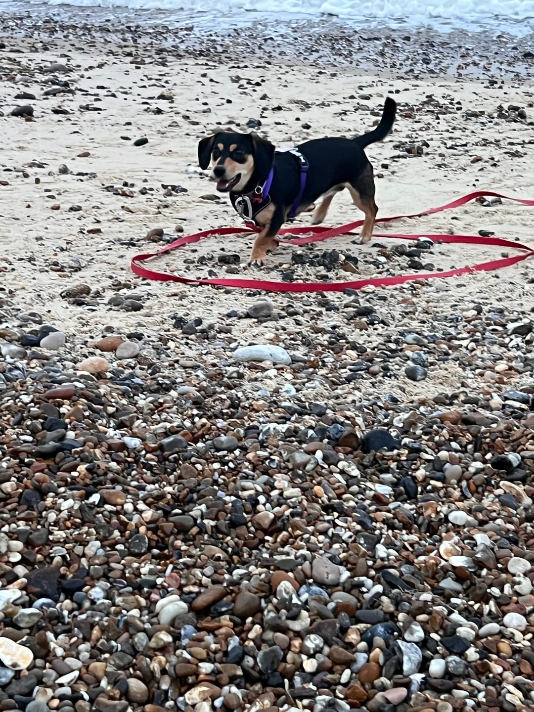 Customer photo review of Tidal Waterproof Longline