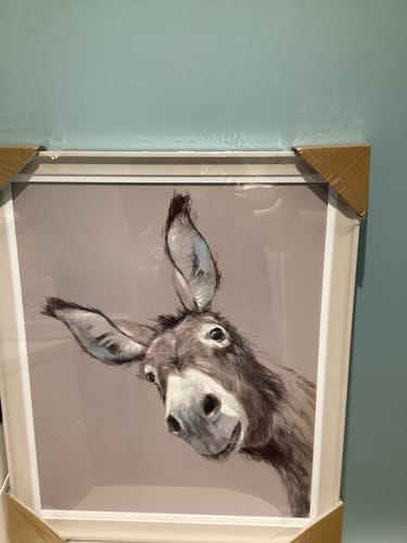 Customer photo review of Reggie By Adelene Fletcher