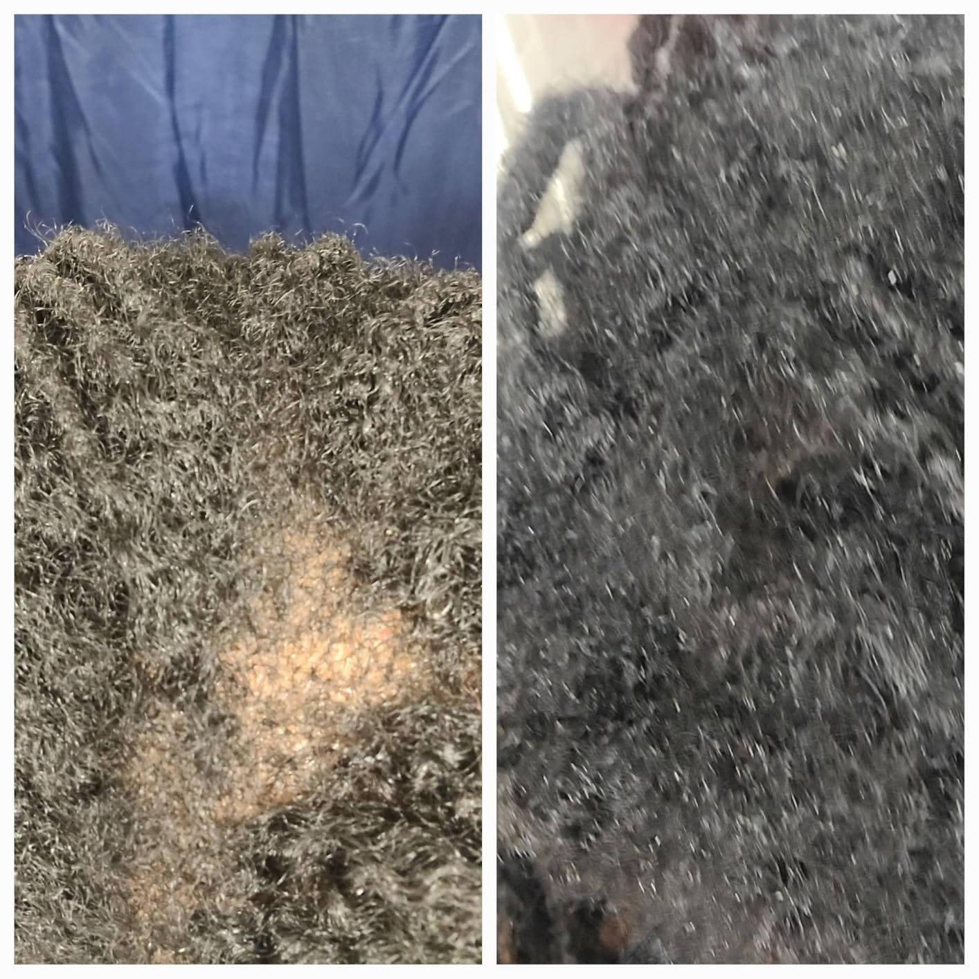 Customer photo review of NOEVA 100% Pur Batana - Le secret ancestral de cheveux sublimes