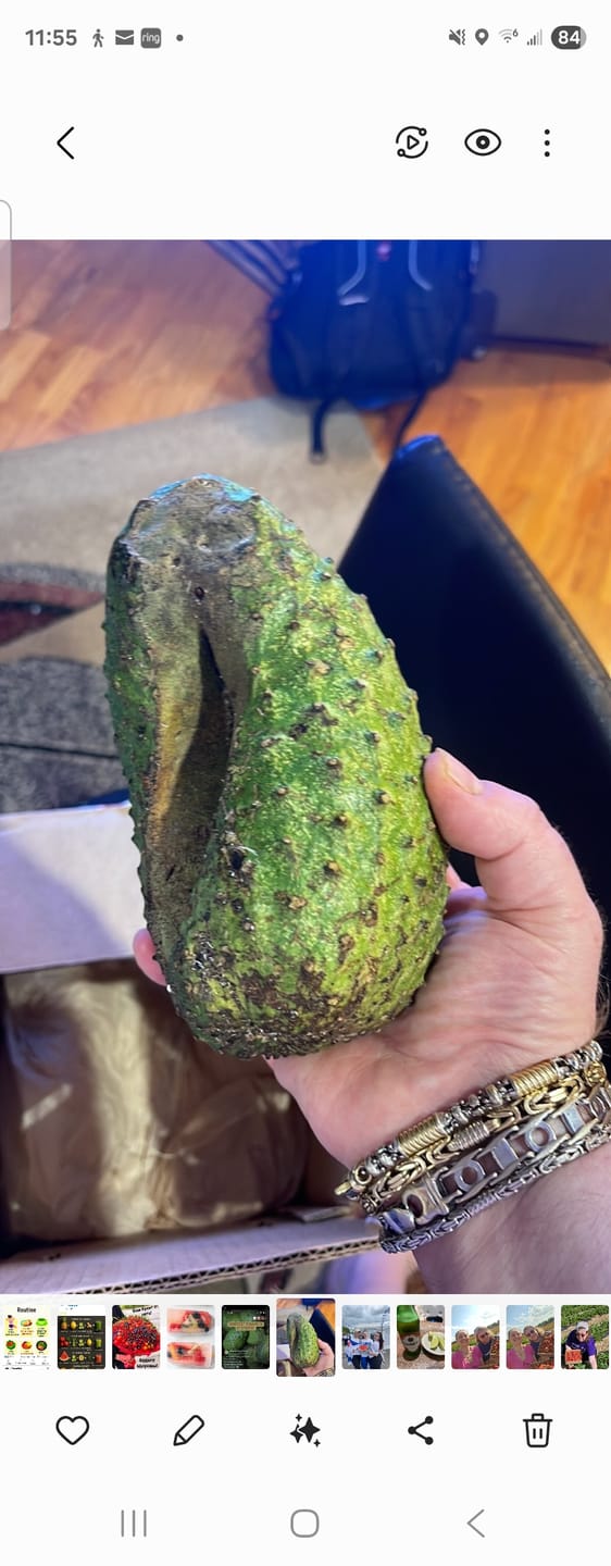 Customer photo review of Premium Soursop (Guanabana)