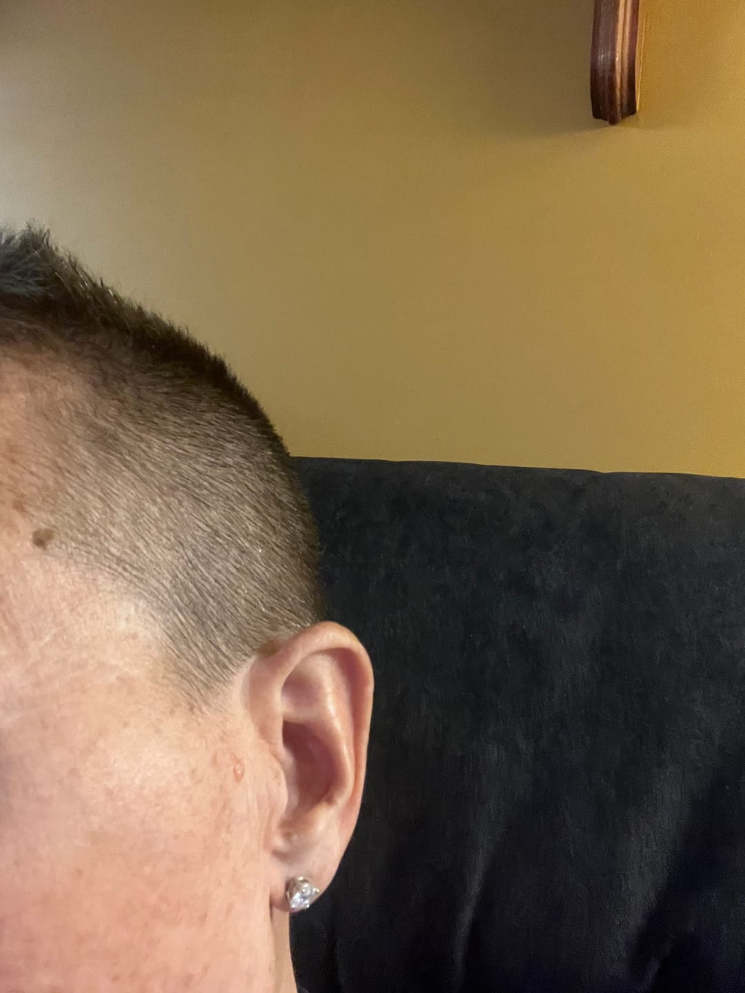 Customer photo review of Round Solitaire Stud Earrings - Moissanites