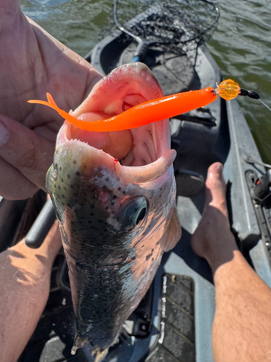 Customer photo review of Trout Trix Minnows - 5 pack