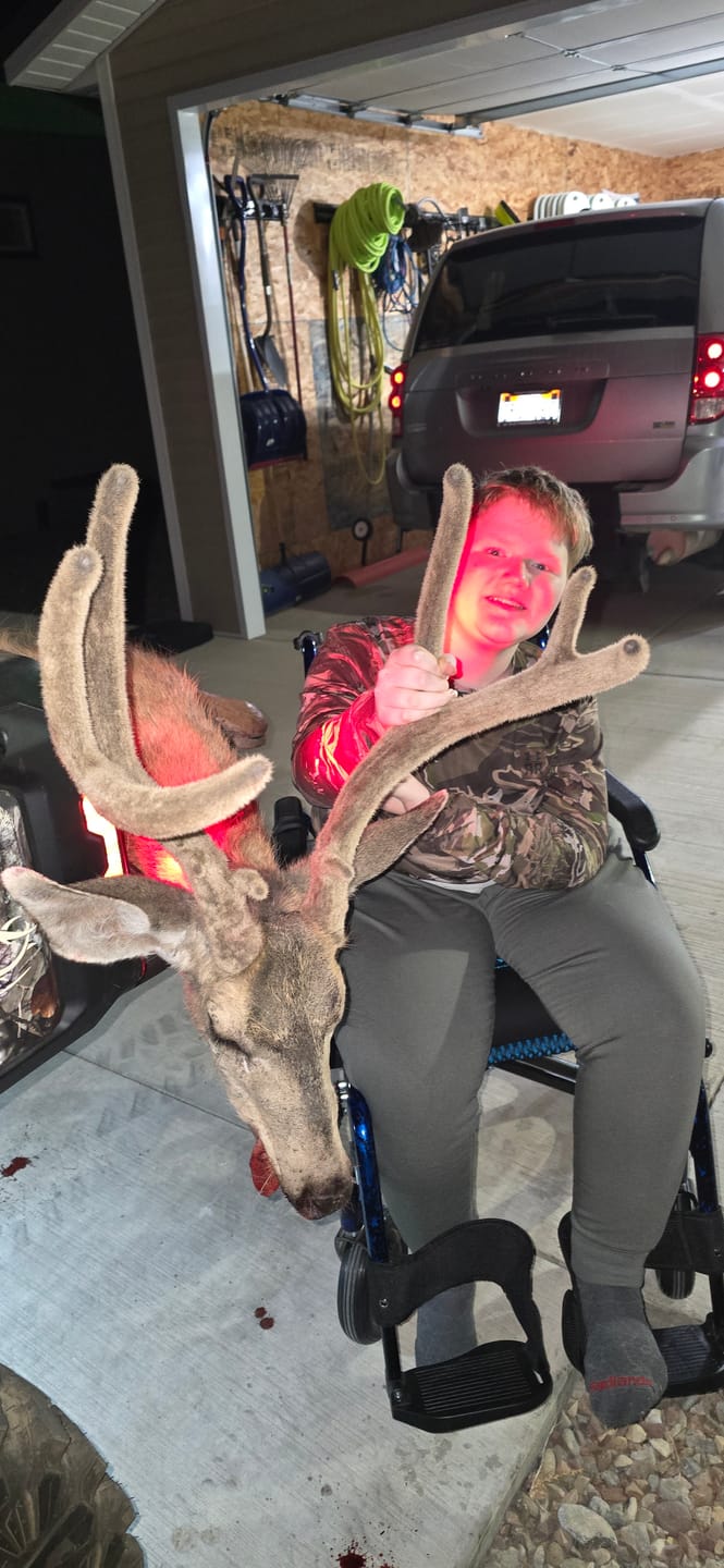 Customer photo review of Titanium Broadheads