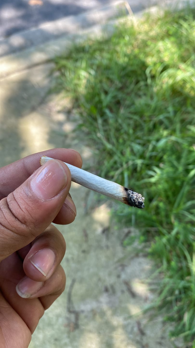 Customer photo review of Exotic Smalls