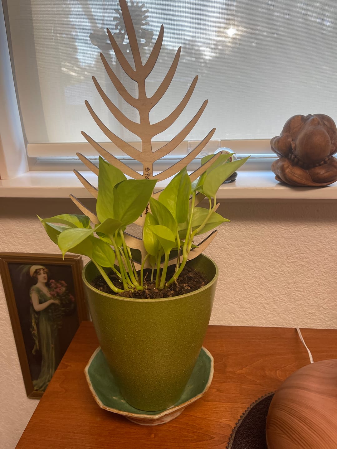 Customer photo review of BARE™ Palmella™ - Customizable wooden plant support - Inspired by the Palm leaf