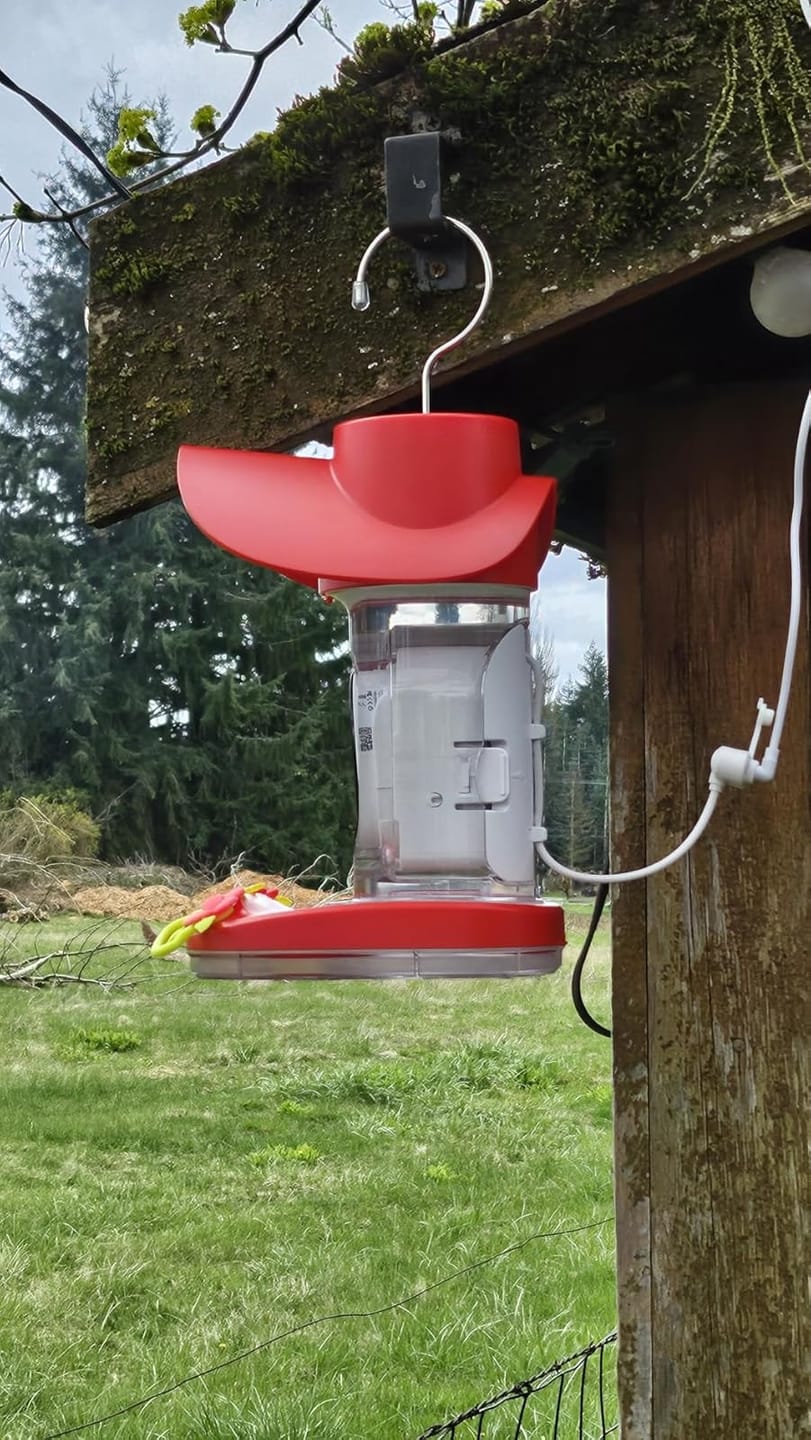 Customer photo review of Smart Hummingbird Feeder