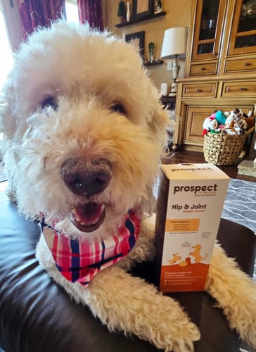 Customer photo review of Hip & Joint