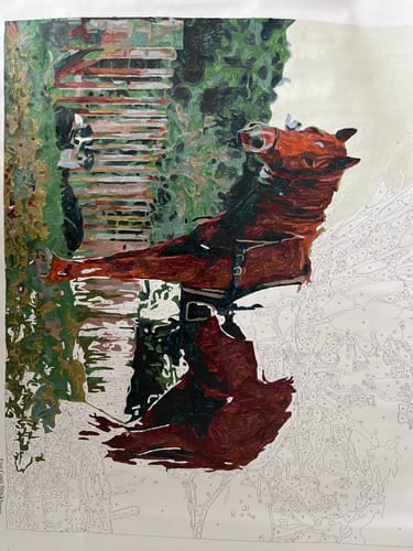 Customer photo review of East Coast Stockhorse *NEW*