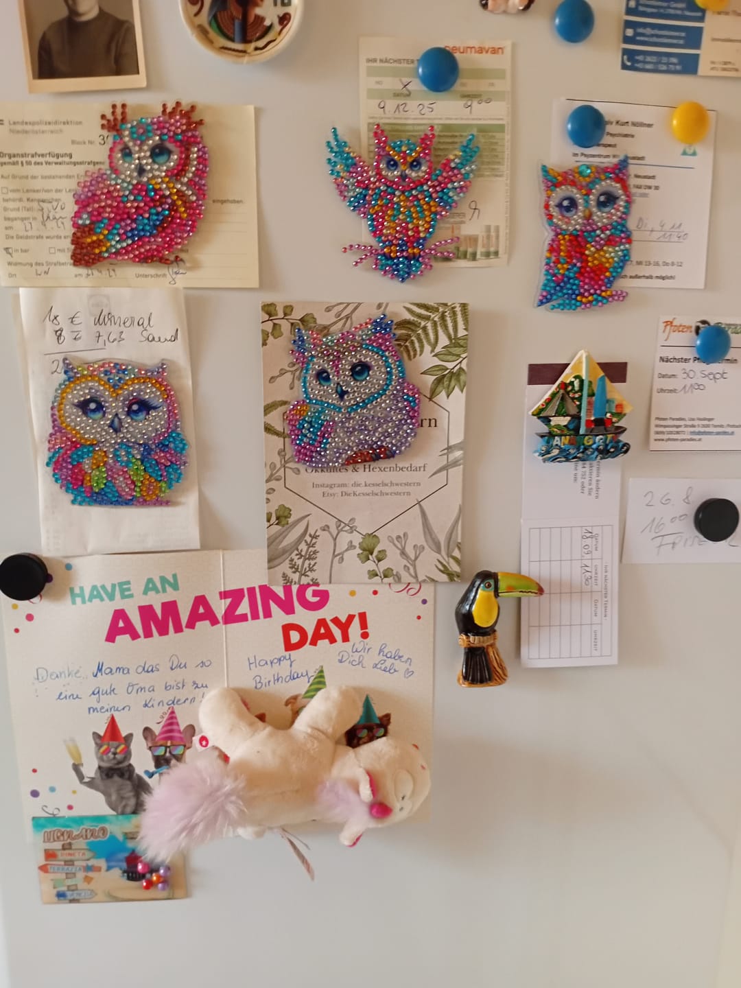 Customer photo review of Diamond Painting Magnete – Set mit 6 Eulen