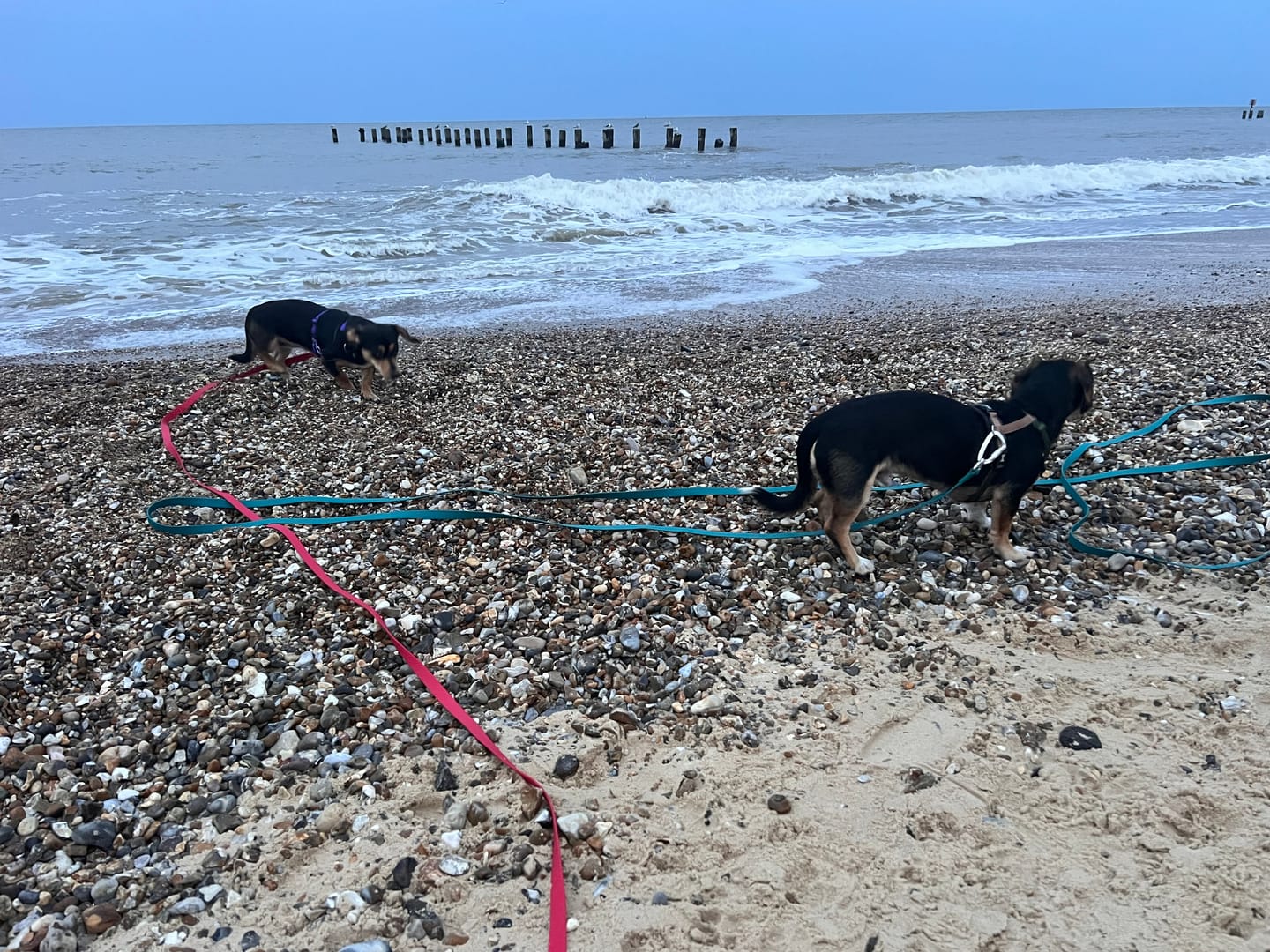 Customer photo review of Tidal Waterproof Longline