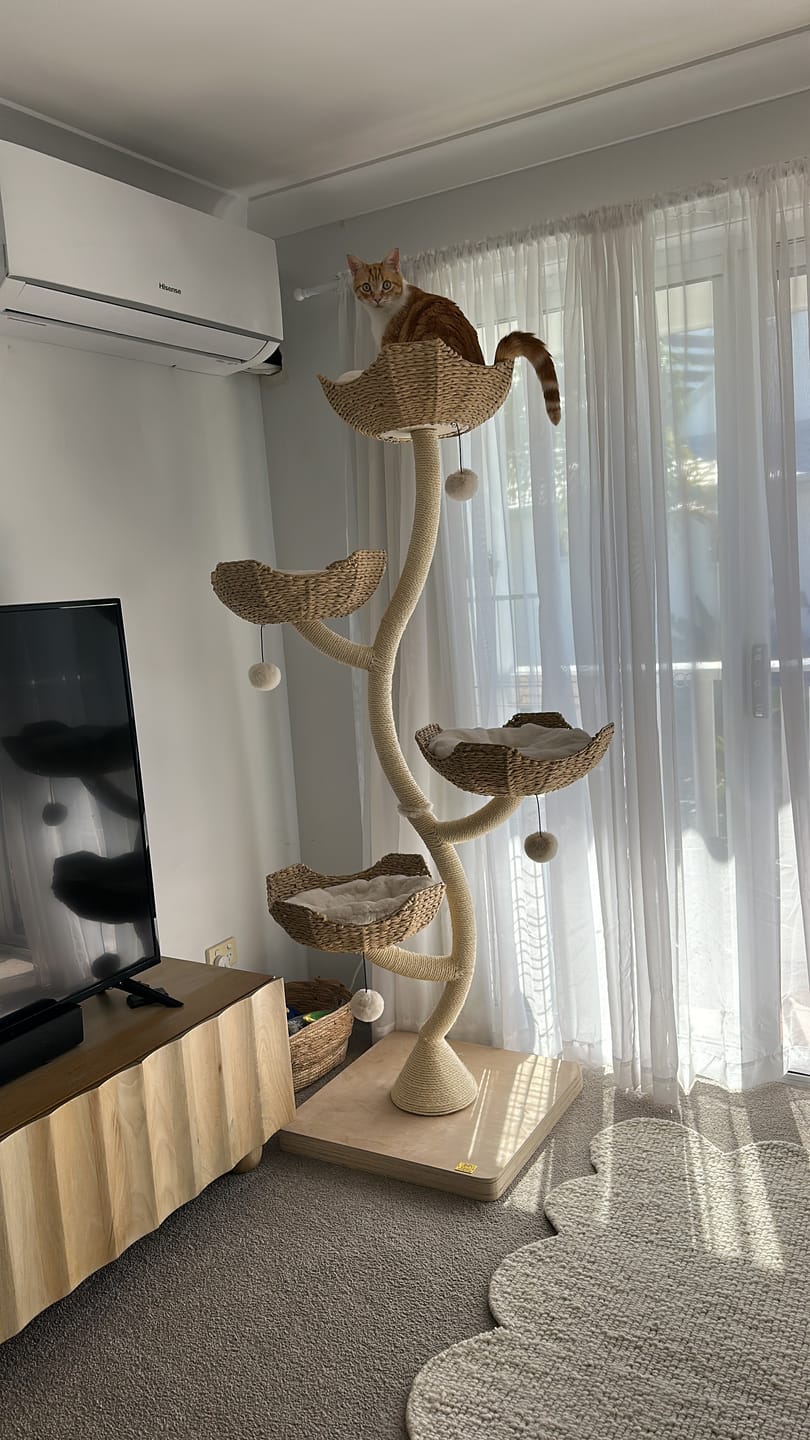 Customer photo review of MICHU Ivy Cat Tower Deluxe 4-Tier Designer Tall Cat Tree