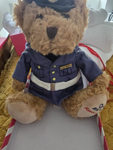 Customer photo review of 9" RAF No1 Uniform Bear