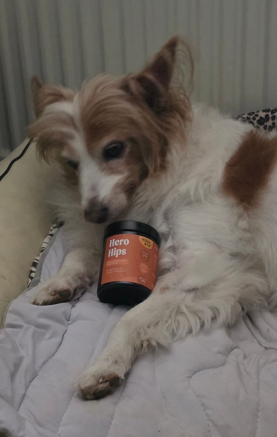 Customer photo review of Hero Hips | Pulver für den Bewegungsapparat