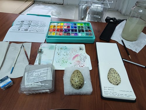 Customer photo review of Princeton Neptune - Pincel Liner (Delineador)