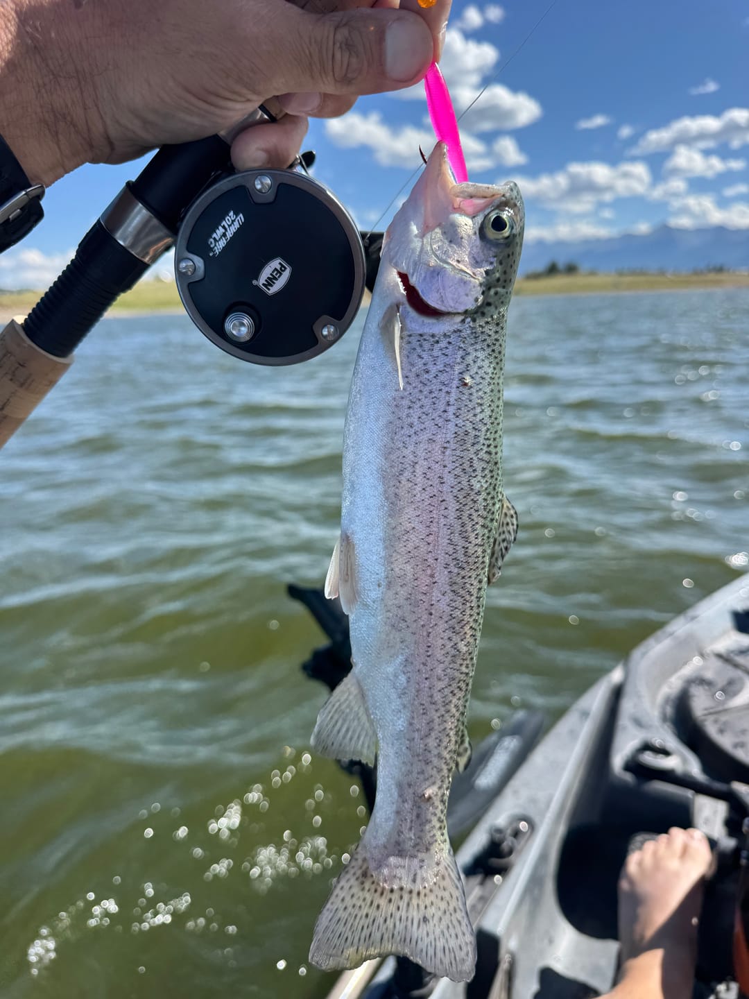 Customer photo review of Trout Trix Minnows - 5 pack