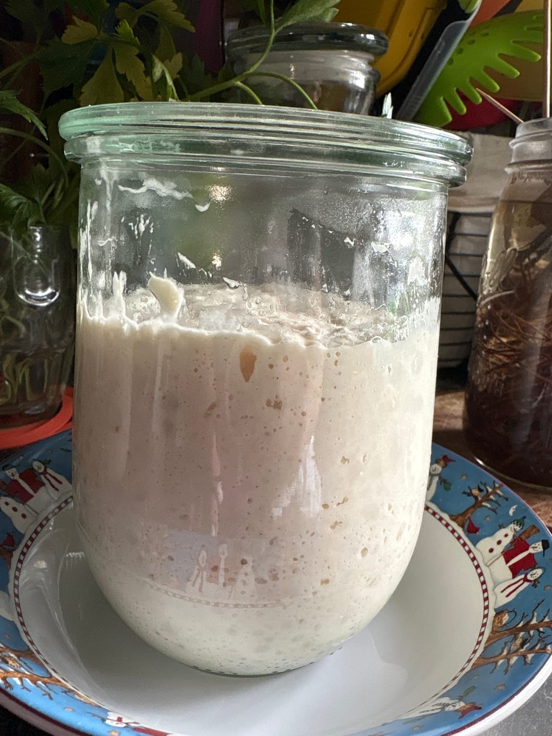Customer photo review of Sourdough Recipe Bundle: A Collection Of 5 Our Most Viral & Requested Recipes!