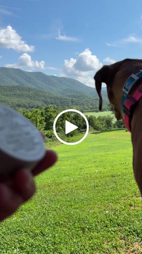 Jesse V. review of Mountain Wintergreen Nicotine Pouches image 1 out of 1