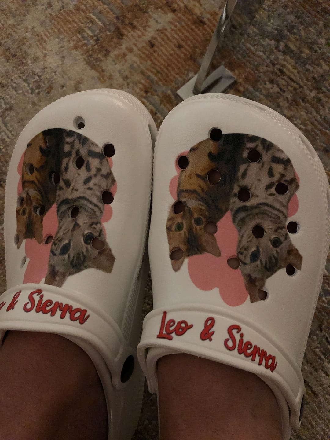 Customer photo review of Haustierportrait - Individuelle Clogs
