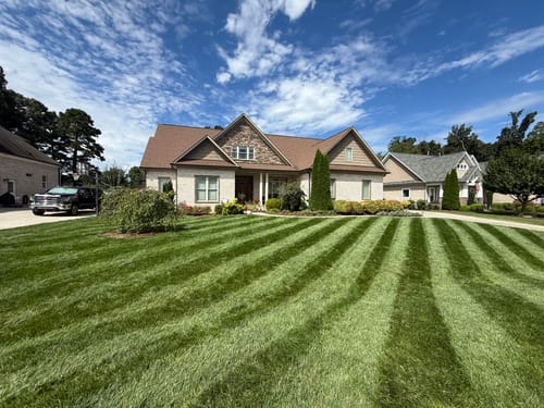 Customer photo review of GCI Turf Spreader Elite Grass Seed