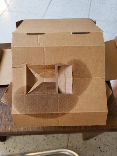 Customer photo review of VESEVO