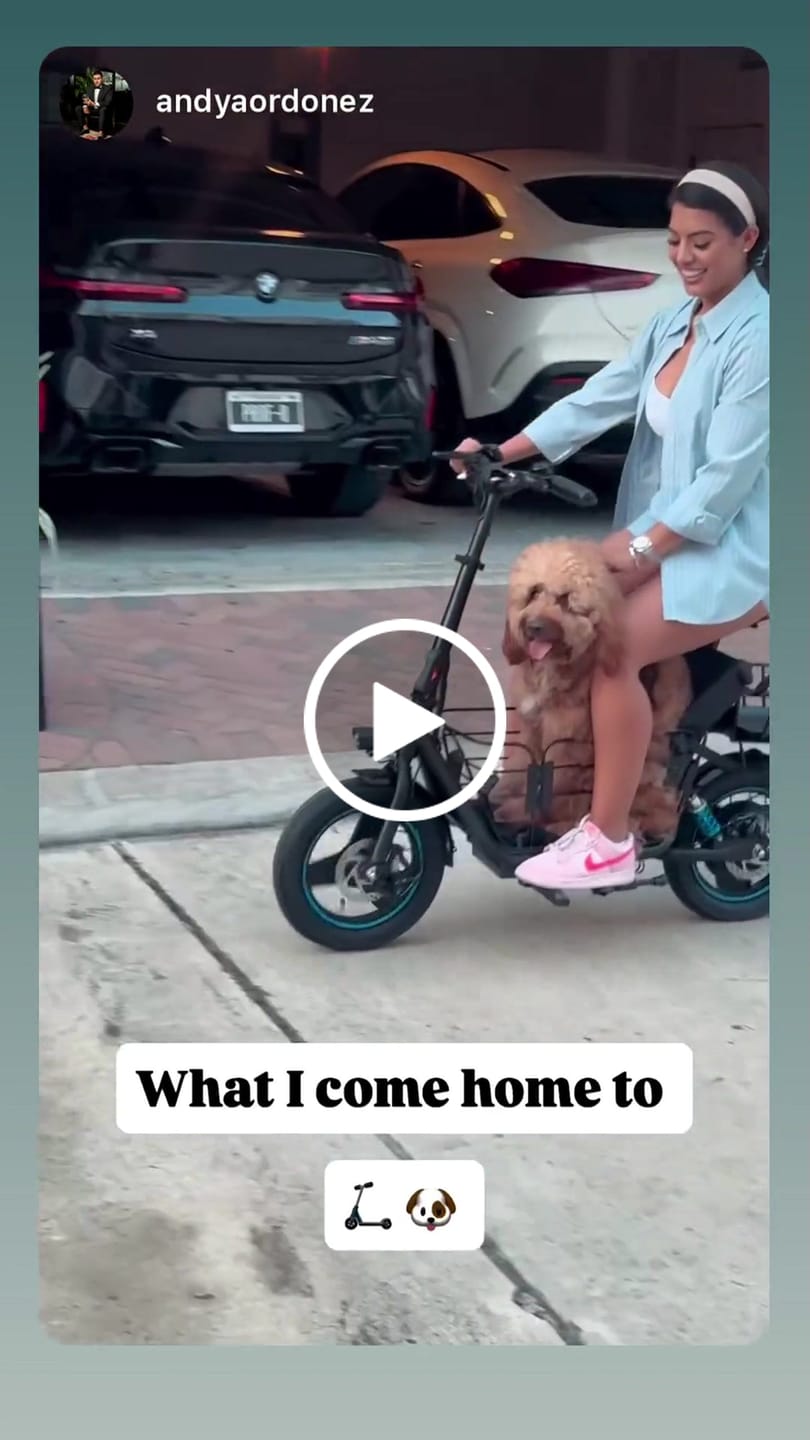 Customer video review of Gyroor 1000W(Peak) Foldable Electric Scooter with Seat, Removeable Dual Baskets, 300lbs Load, 30-Mile Range