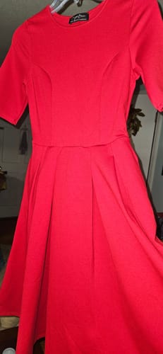 Customer photo review of Brigitte Brianna Swing Dress