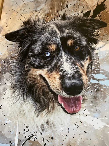 Customer photo review of Graffiti Pawtrait