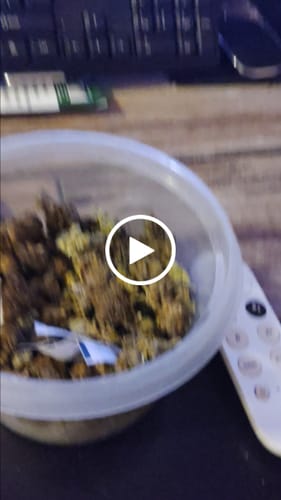 Customer video review of Value Indoor Smalls