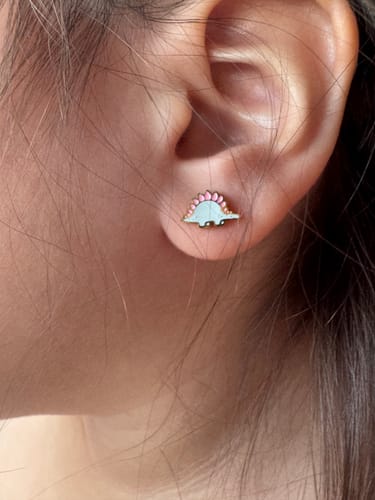 Customer photo review of Pastel Dinos