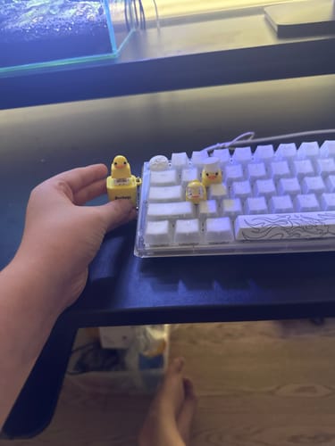 Customer photo review of QUACKstart Bundle