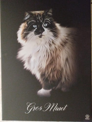 Customer photo review of Öl Pawtrait
