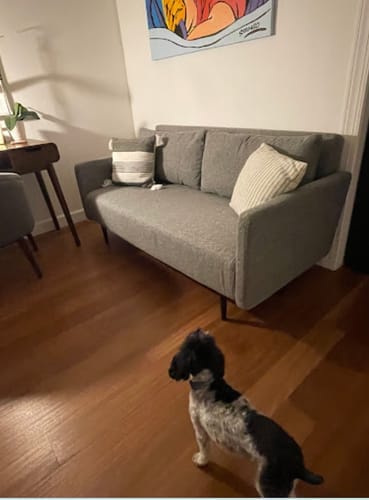 Customer photo review of Modi 2人位梳化床/多功能沙發