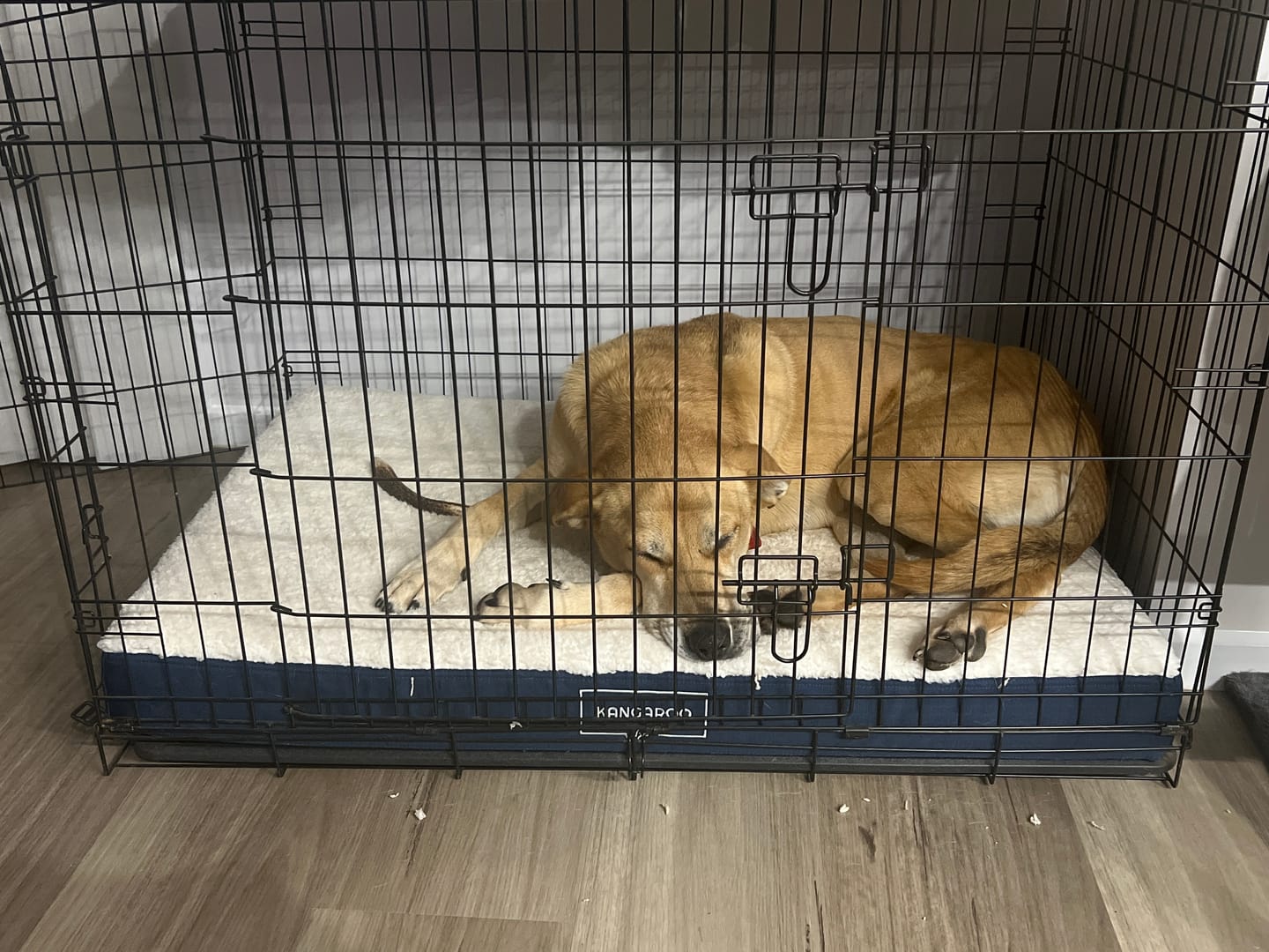 Customer photo review of Winter Cover for Kangaroo Crate Mat