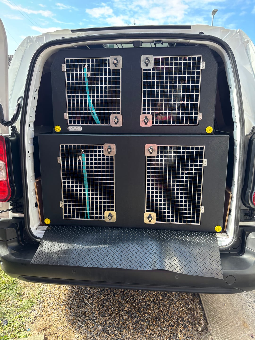 Customer photo review of Dog Van Kit | Citroën Berlingo | 2008-Present | Double stack | DT VS1