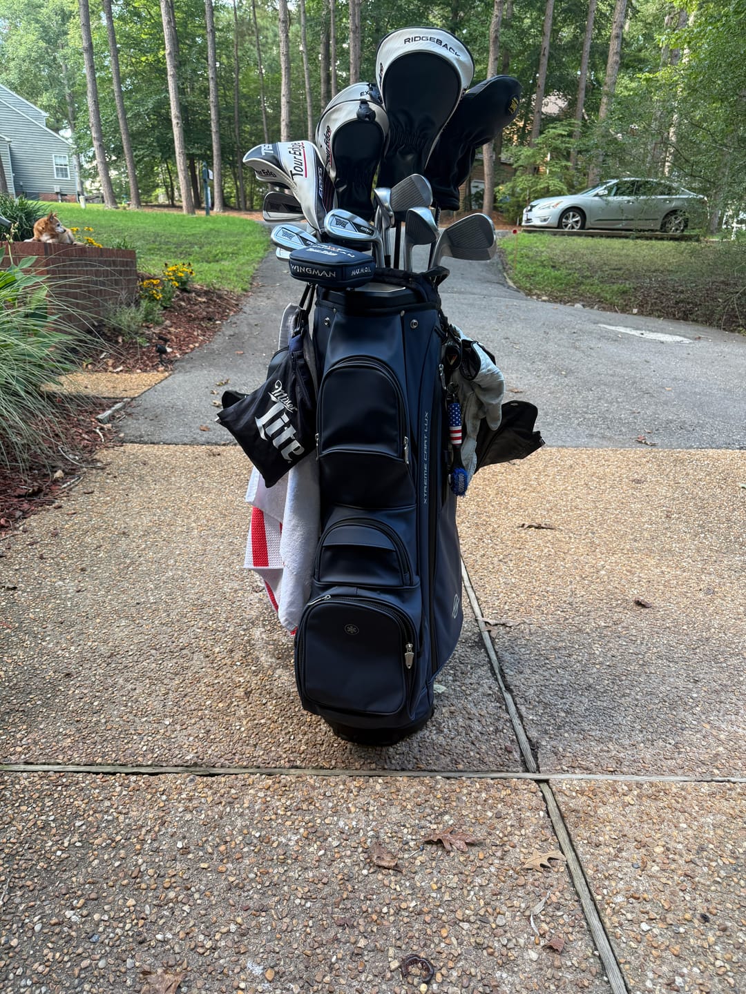 Customer photo review of Xtreme Lux Cart Bag