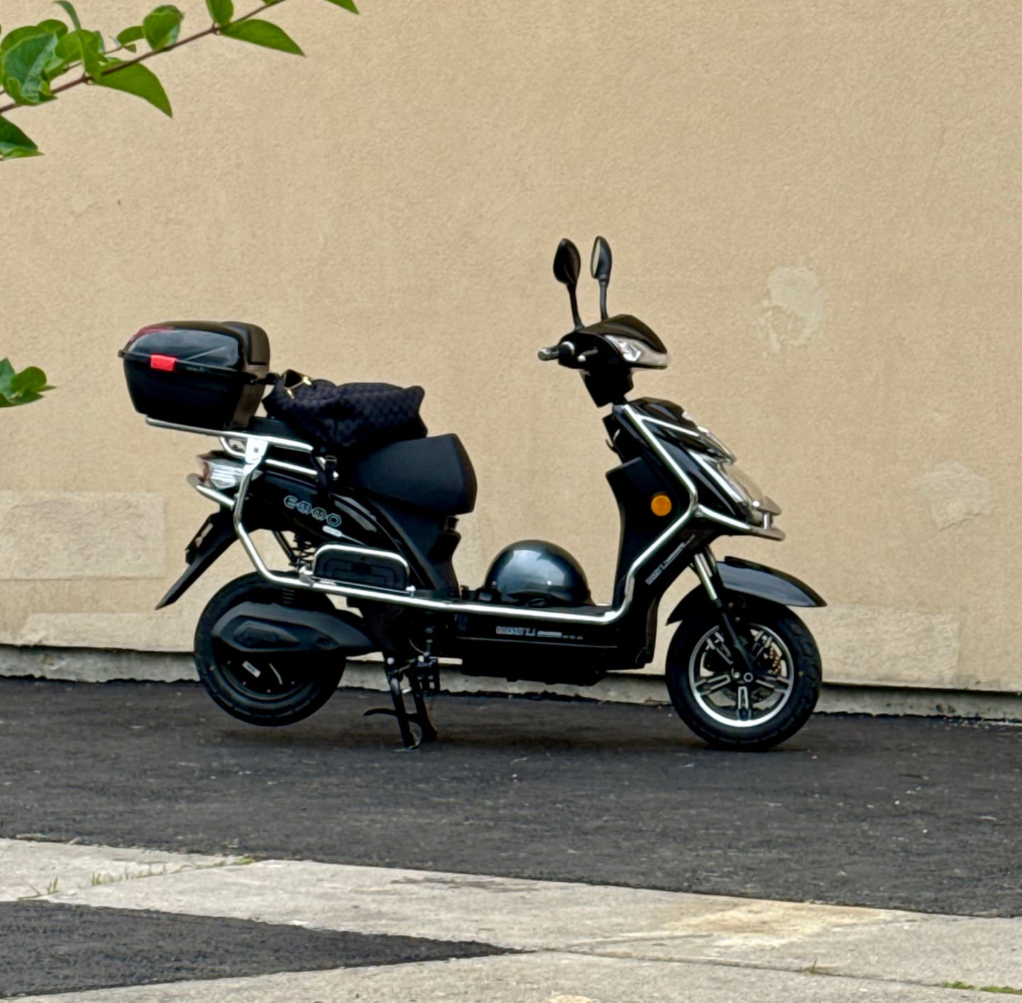 Customer photo review of Hornet X.I
