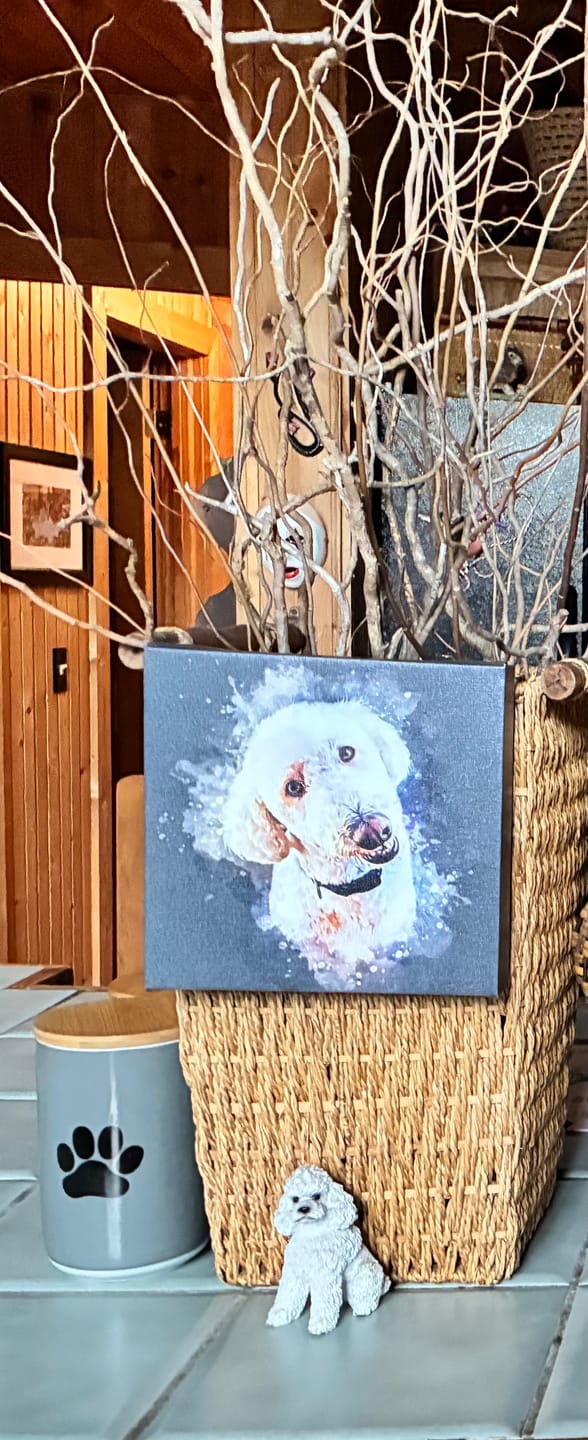 Customer photo review of Custom Watercolor Pet Portrait – Contemporary Neutral Style (CN)