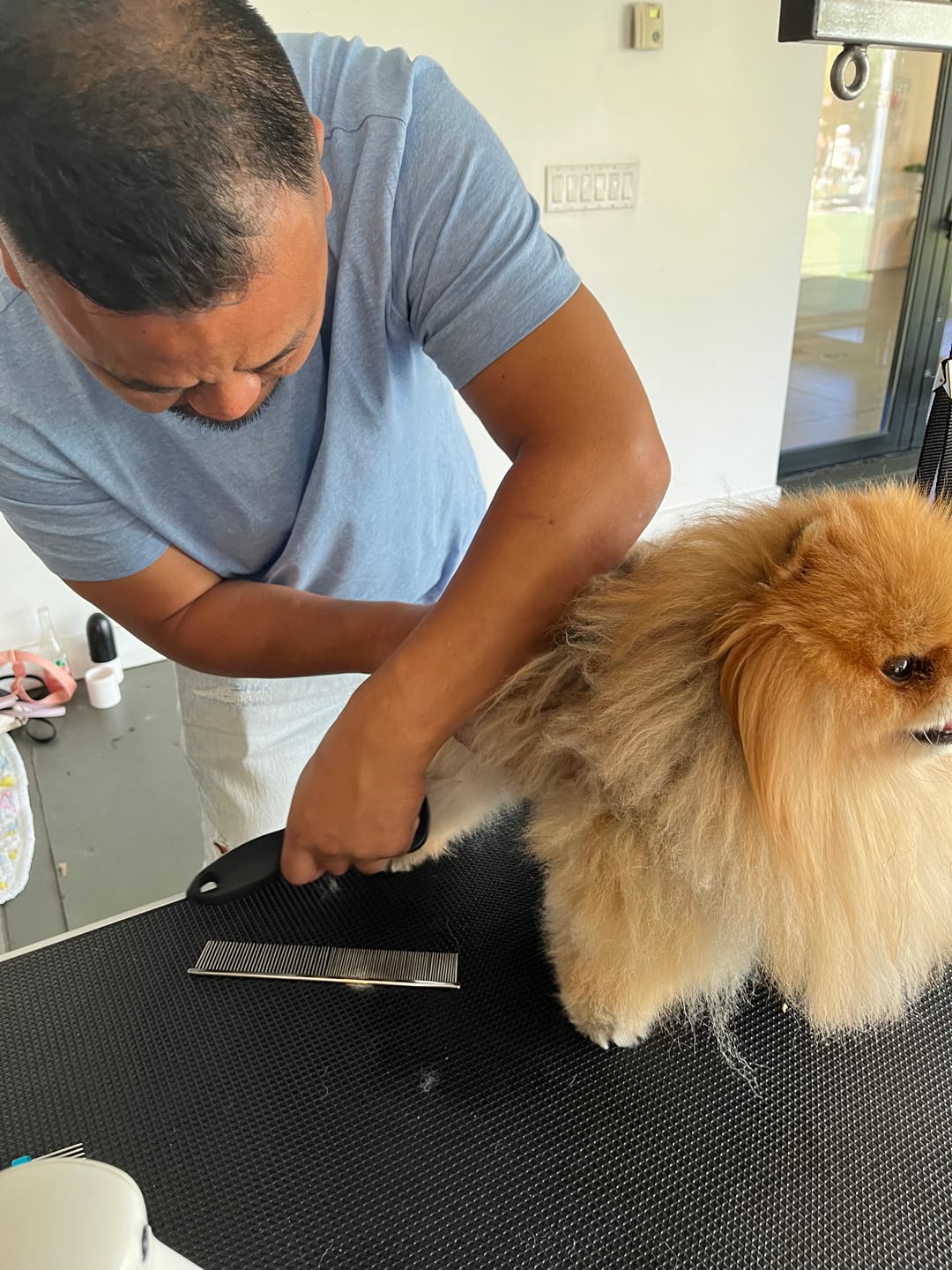 Customer photo review of Grooming Workshop Aug 9th Toronto