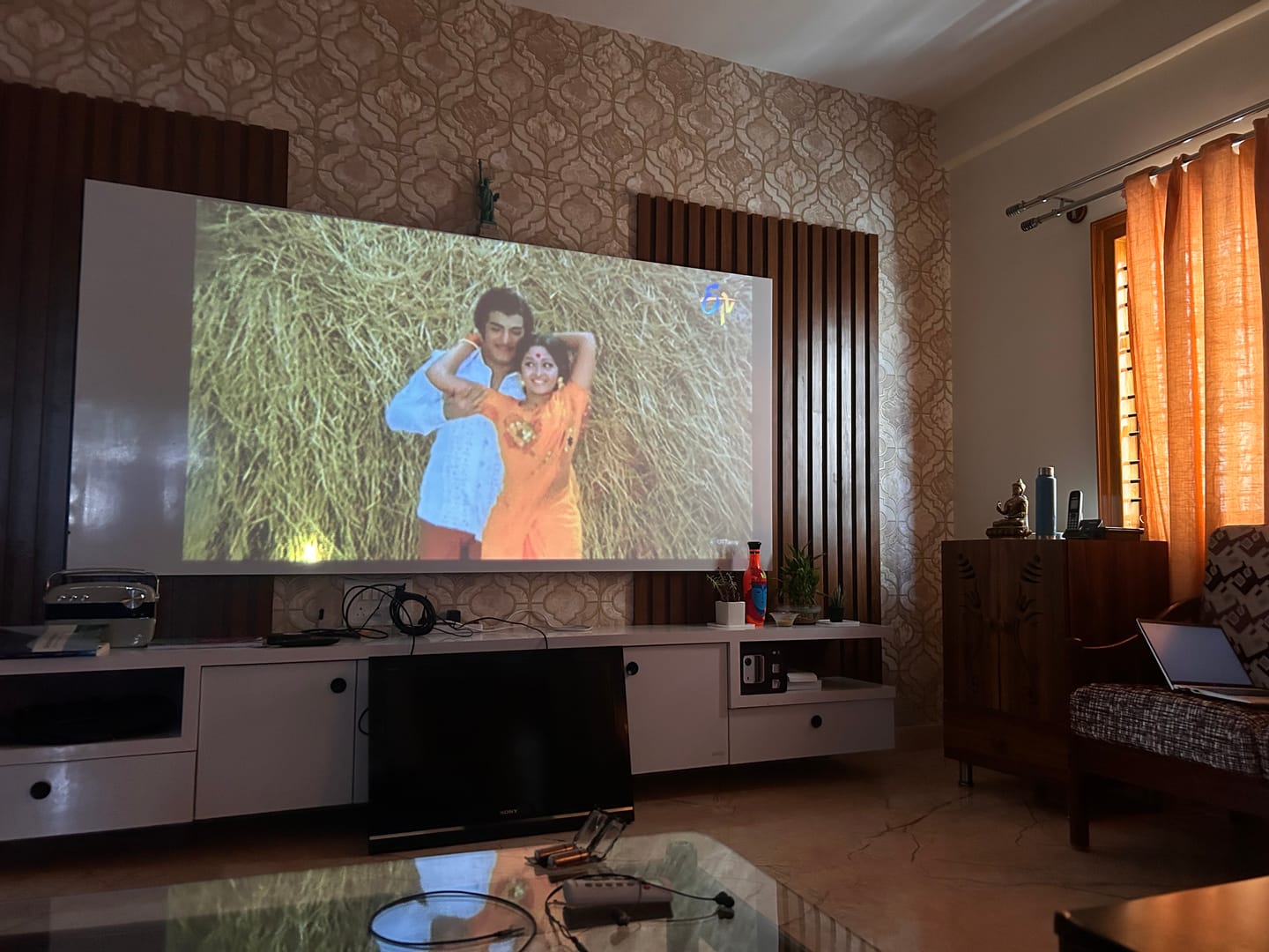 Customer photo review of Lumex Flix