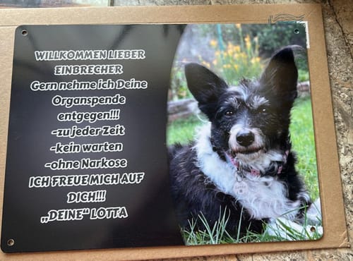 Customer photo review of Hunde-Türschild personalisiert mit Foto & Text (UV- und wetterfest)