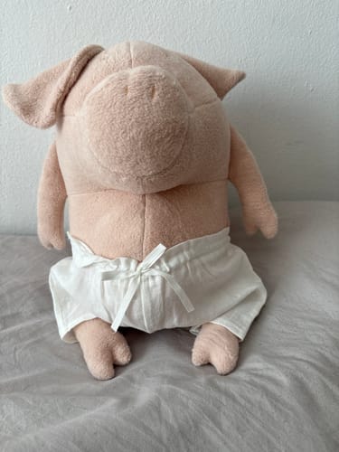 Customer photo review of HELMUT, LE COCHON - GRAND