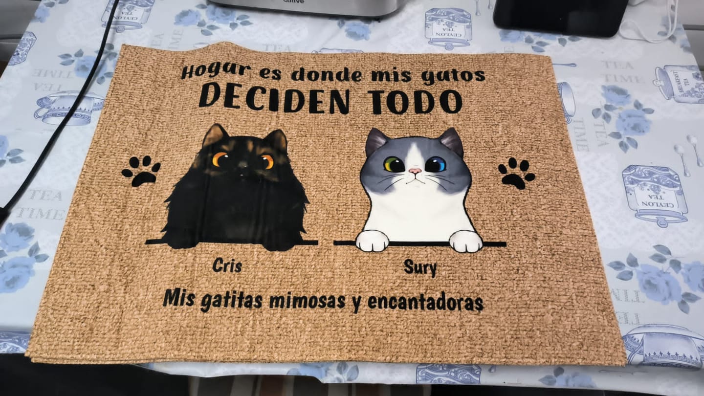Customer photo review of Bienvenidos a lo de gatos curiosos - Felpudo personalizado