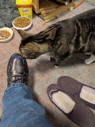 Customer photo review of Aurora Boots