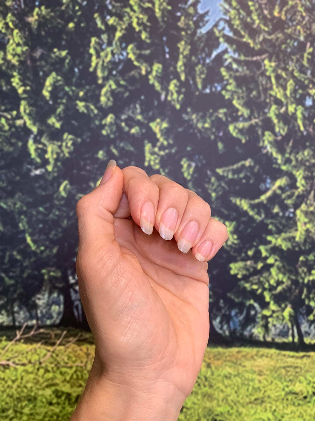 Customer photo review of Grass-fed Collagen