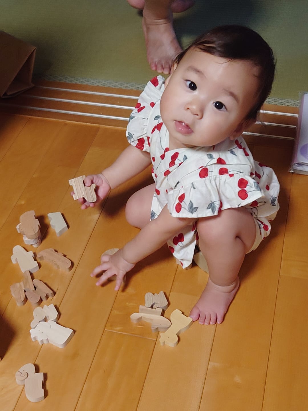 Customer photo review of 動物積み木