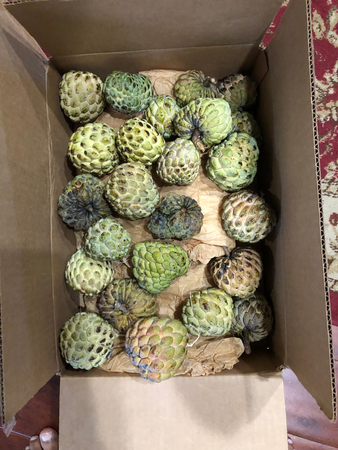 Customer photo review of Sugar Apple (Sweetsop)