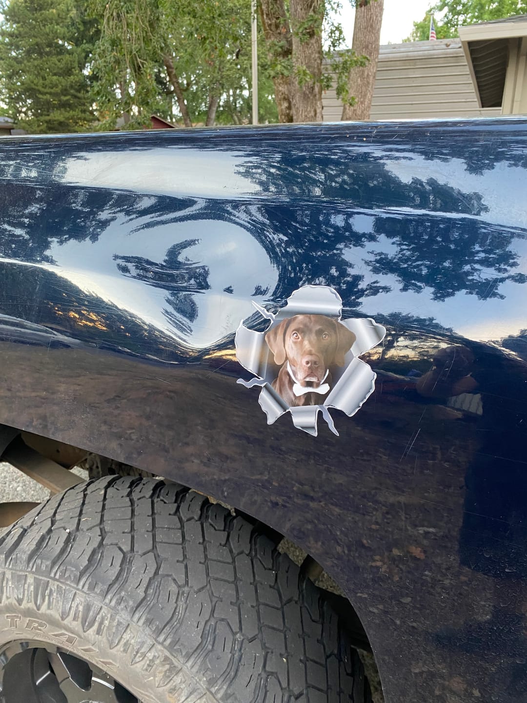 Customer photo review of Peeking photo – Personalized Car Sticker