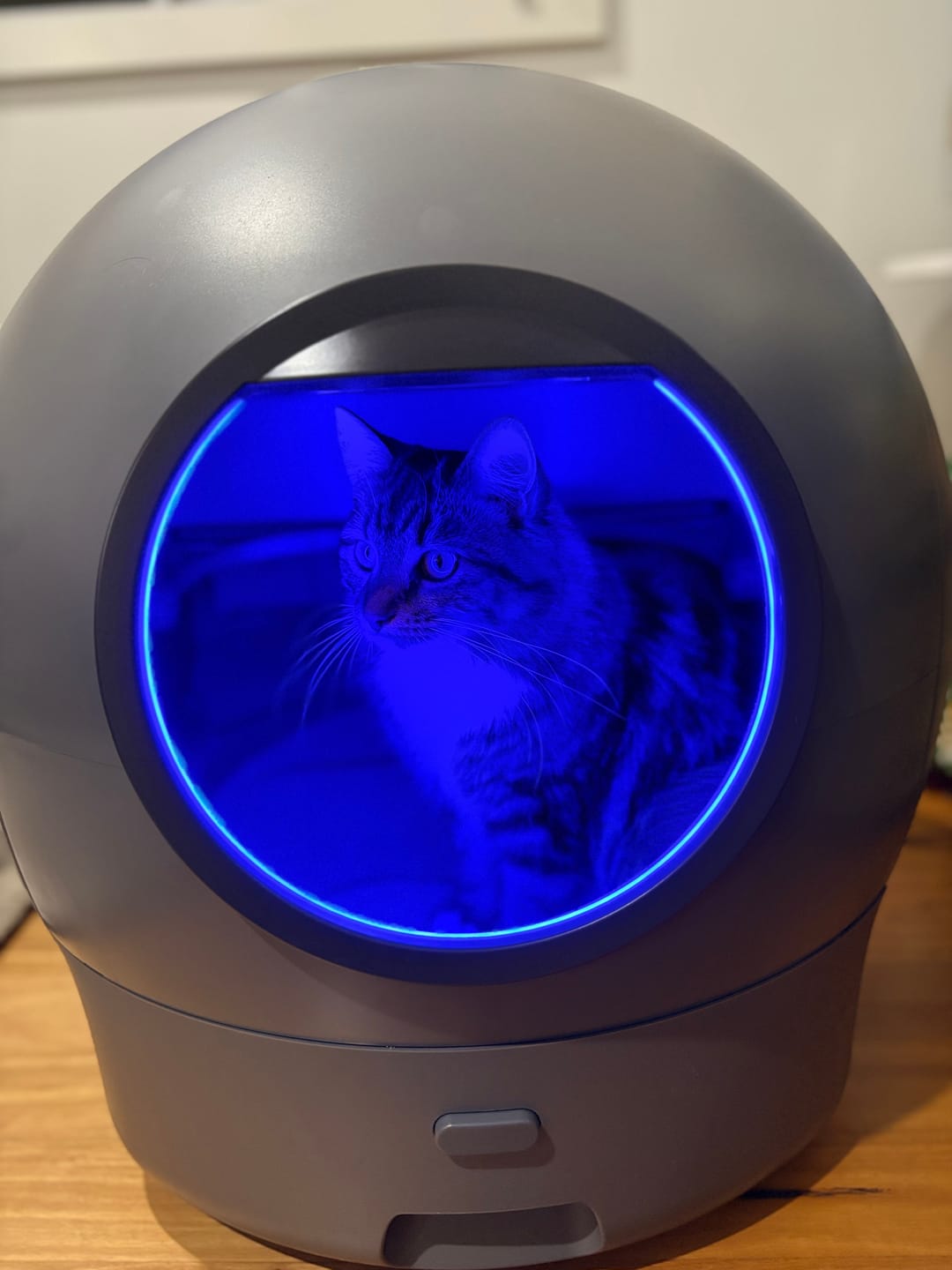 Customer photo review of PaWz AutoClean Max Automatic Self Cleaning Cat Litter Box